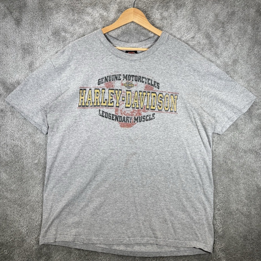Harley Davidson T Shirt Mens XL Gray Graphic Flames Short Sleeve Canton Ohio